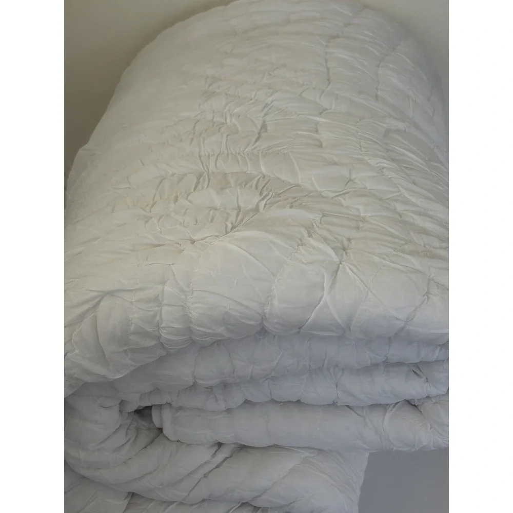 Pottery Barn Queen Cloud Quilt Classic White/White Cotton‎ Paisley No Shams